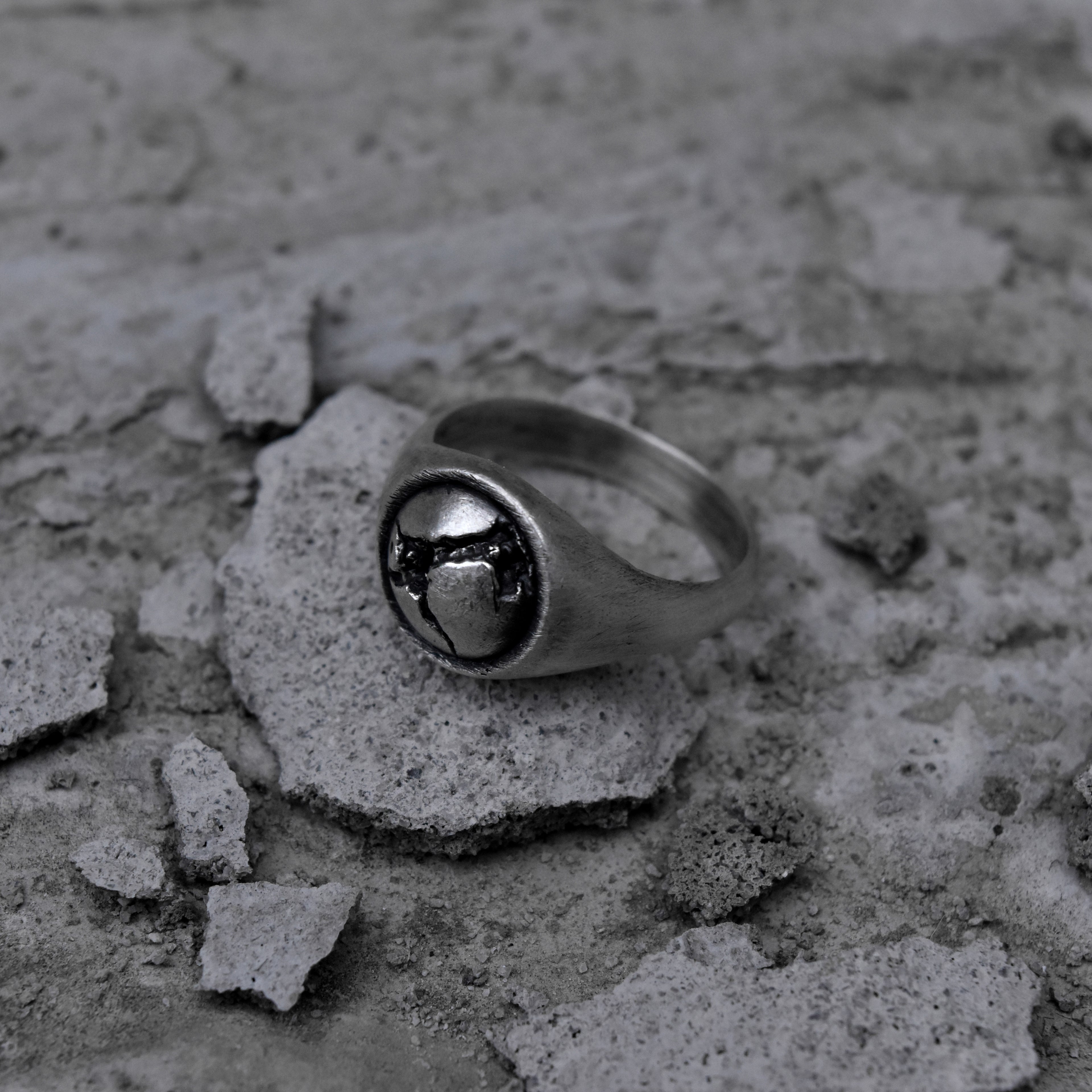 SFR-01