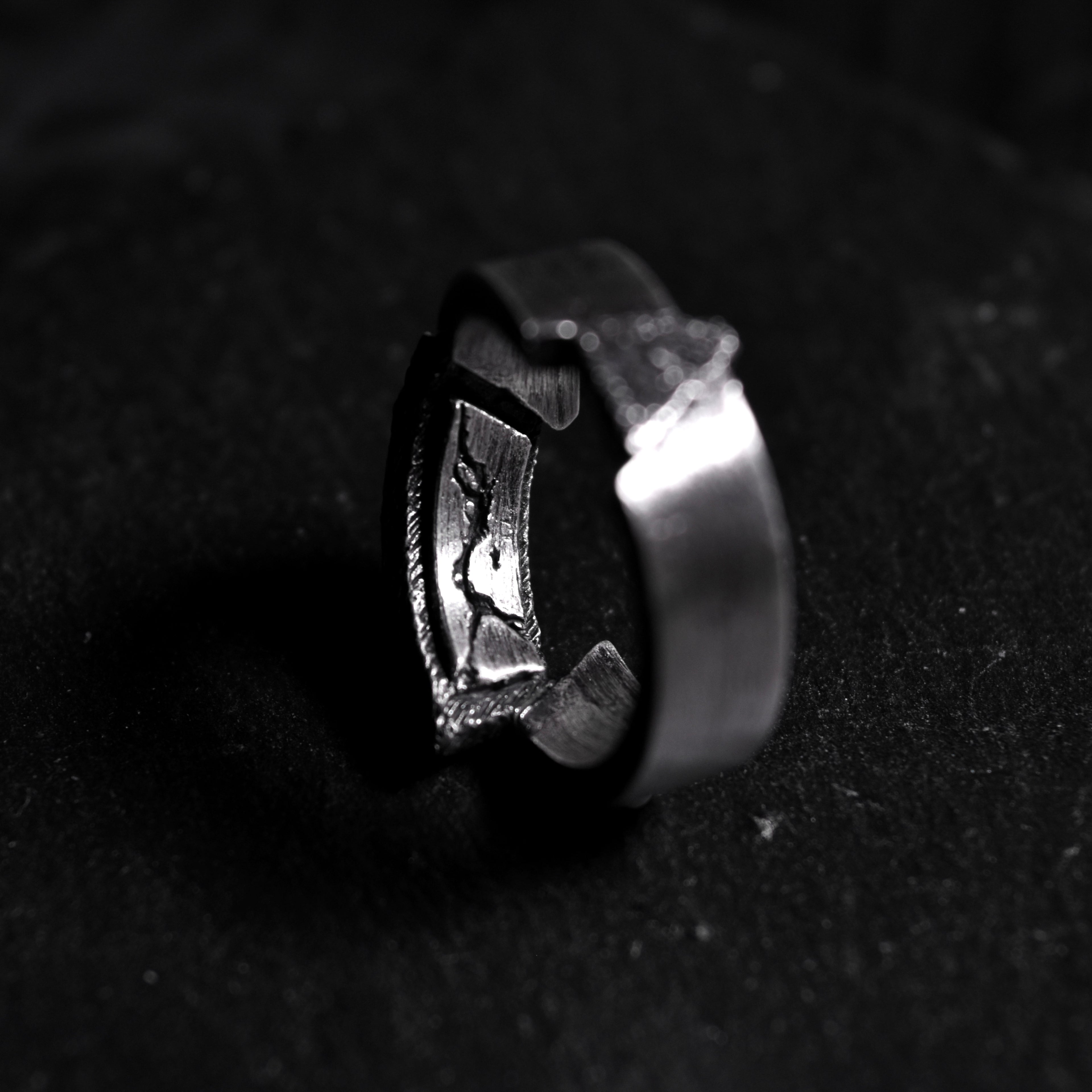 SFR-06